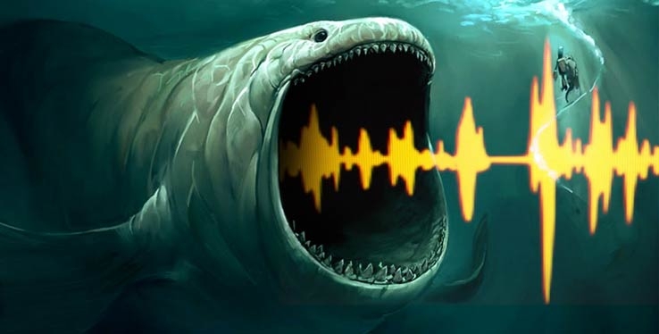 Звук в океане: загадка «Bloop»