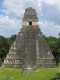 Тикальский храм майя. Высота 47 метров